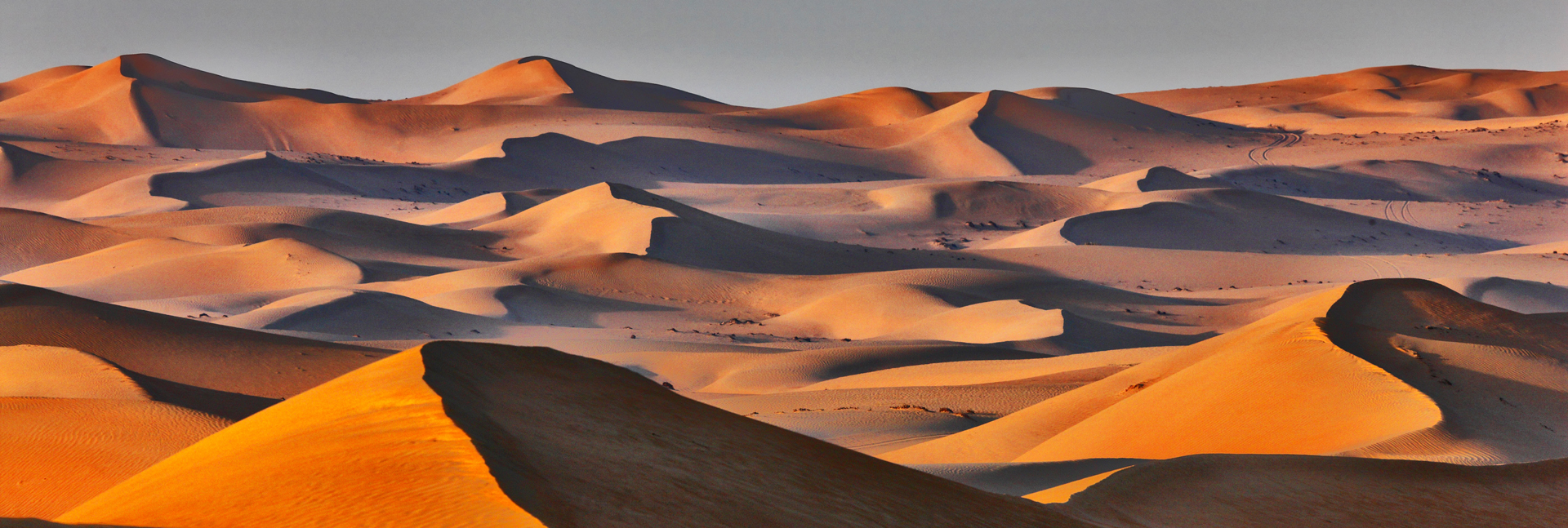 Sand dune landscape in Arabian desert